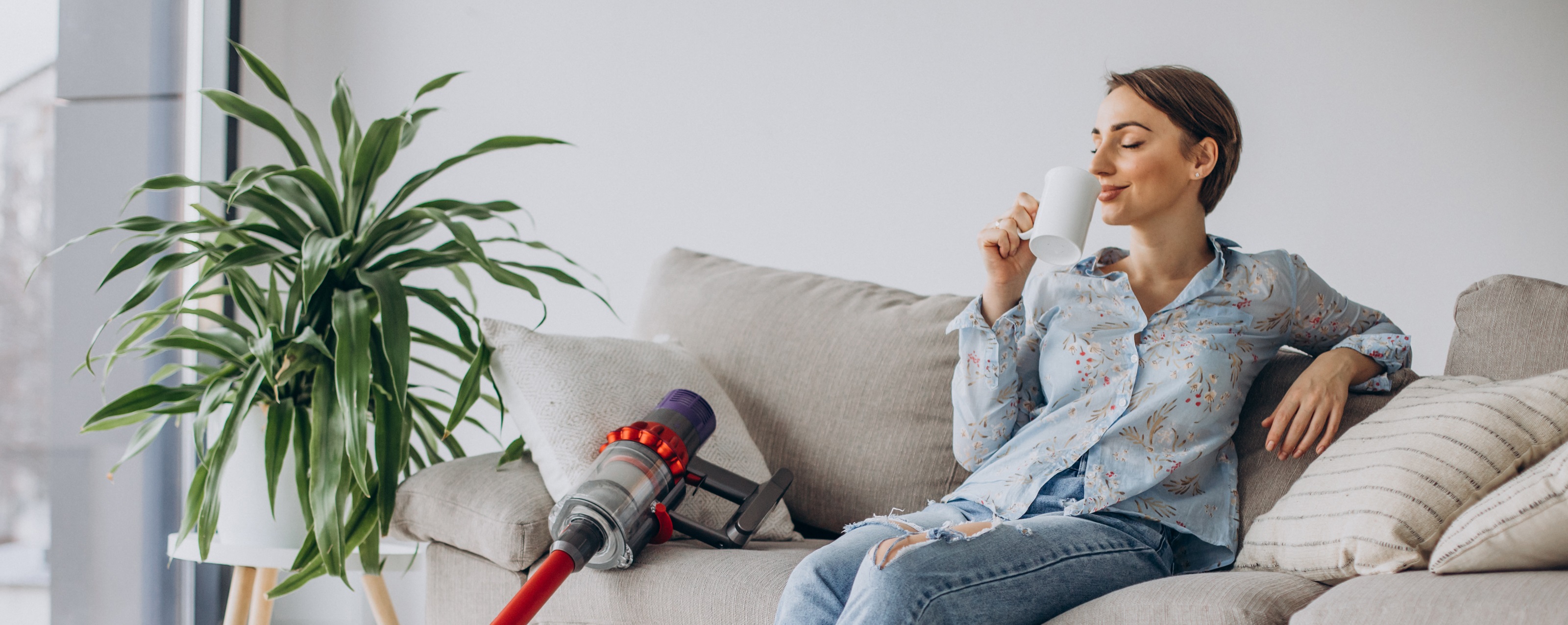  the domestic cleaning